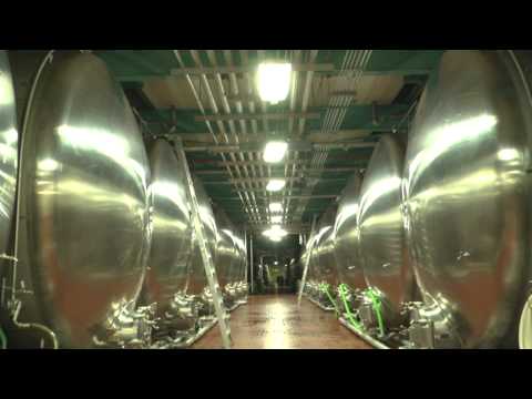 Video: Berapa lama tur tempat pembuatan bir Budweiser?