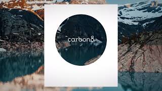 Carbon8. A Circular Impact Company.