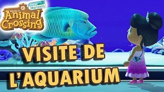 On visite l'Aquarium ( Partie Poisson du Musée finie à 100% ) | Animal  Crossing New Horizons - YouTube