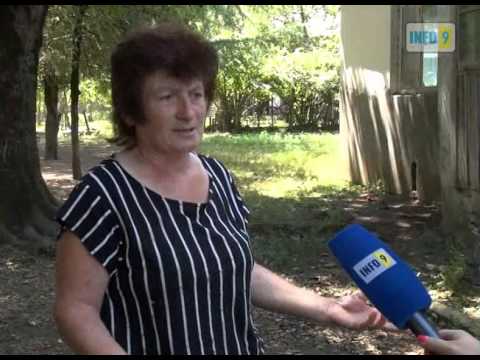 ყურადღებას არავინ გვაქცევს