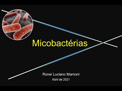 Vídeo: Modelagem Da Distribuição Espacial De Insetos Aquáticos (Order Hemiptera) Potencialmente Envolvidos Na Transmissão De Mycobacterium Ulcerans Na África