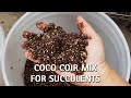 Coco Coir Mix for Succulents