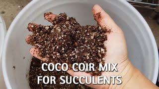 Coco Coir Mix for Succulents