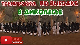 Тренировка по выездке в Диколесье в Star Stable | Клуб Ice Queens Inc