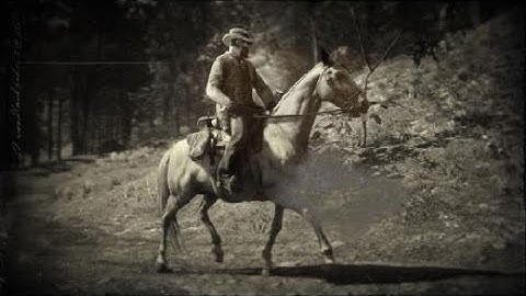 Red Dead Redemption 2 loading screen