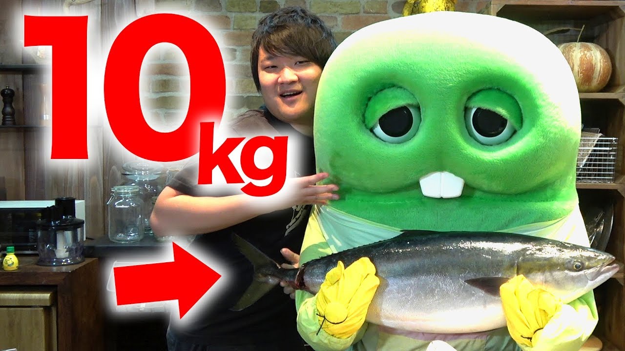 I tried filleting a gigantic 10kg yellowtail with Tomic lol [Tomic
