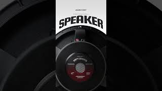 Professional Speaker Audio One