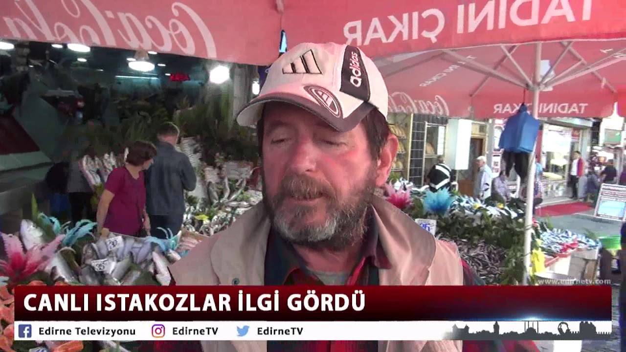 CANLI ISTAKOZLAR İLGİ GÖRDÜ gündem sözcü