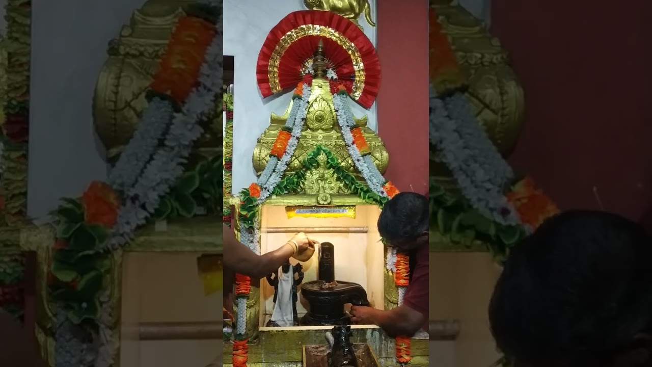 15.02.26 ஶ்ரீ மஹா சிவராத்திரி மூன்றாம் கால பூஜை அபிஷேகம் அலங்காரம் மற்றும் தீபாராதனை.