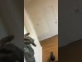 Camera on beat V2