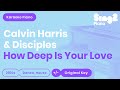How Deep Is Your Love (Piano karaoke demo) Calvin Harris & Disciples