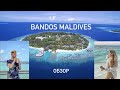 Мальдивы Обзор Отель Bandos Maldives