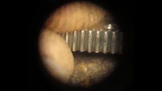 Mitutoyo dial calipers fix and clean and tips what to do and not to do.