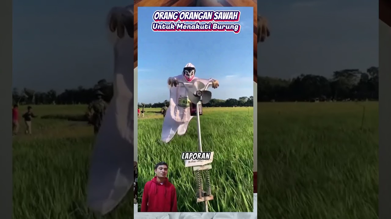Orang Orangan Sawah Yang Seram Bisa Bergerak  Untuk Menakuti Burung 