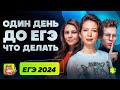 Один день до ЕГЭ: что делать | Марафон поддержки перед ЕГЭ-2024