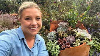 Planting a Succulent Planter, Grama Grass & How I Deal with Nutsedge!