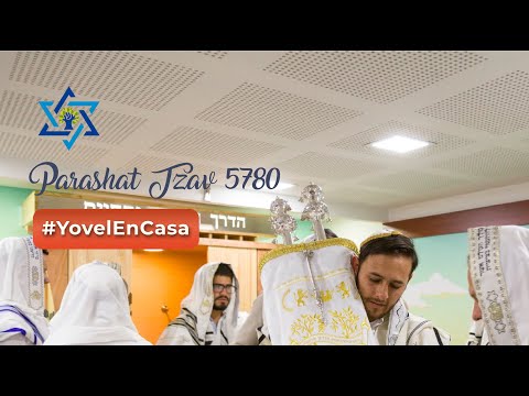 Parashat Tzav 5780