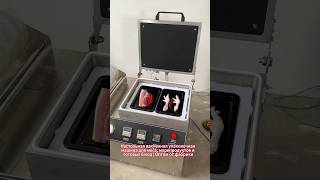 Desktop Vacuum Skin Packaging Machine for Meat, Seafood & Prepared Foods | Factory Wholesale