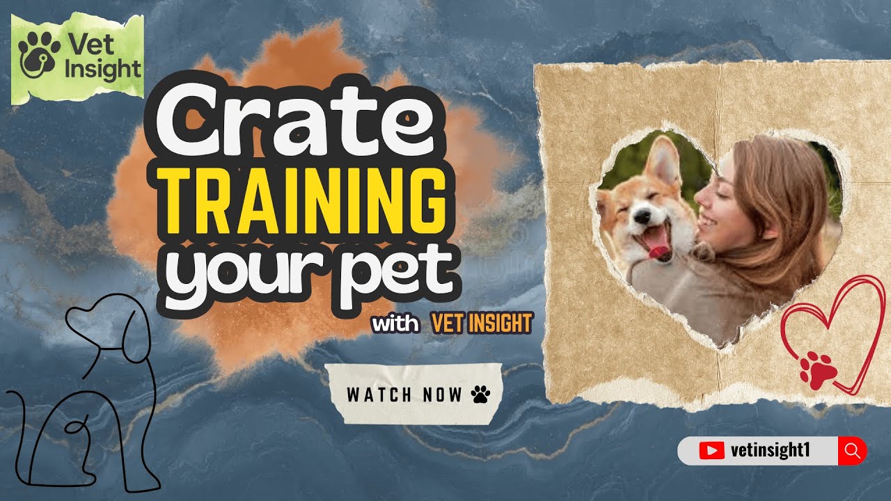 I Tried Crate Training My Dog - A Beginner's Guide