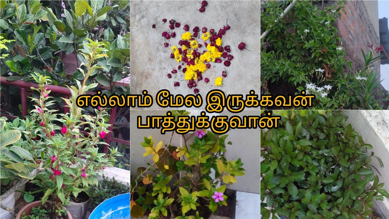 ஒரு வரியில் சொல்ல முடியாத ஒரு கதை😭😭