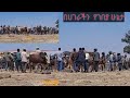 የዛሬው ቀን በገበያ ምን ገጠመን የሚያሳዝን ነገር 
