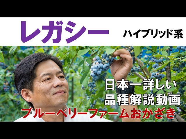 レガシー】品種解説動画 - YouTube