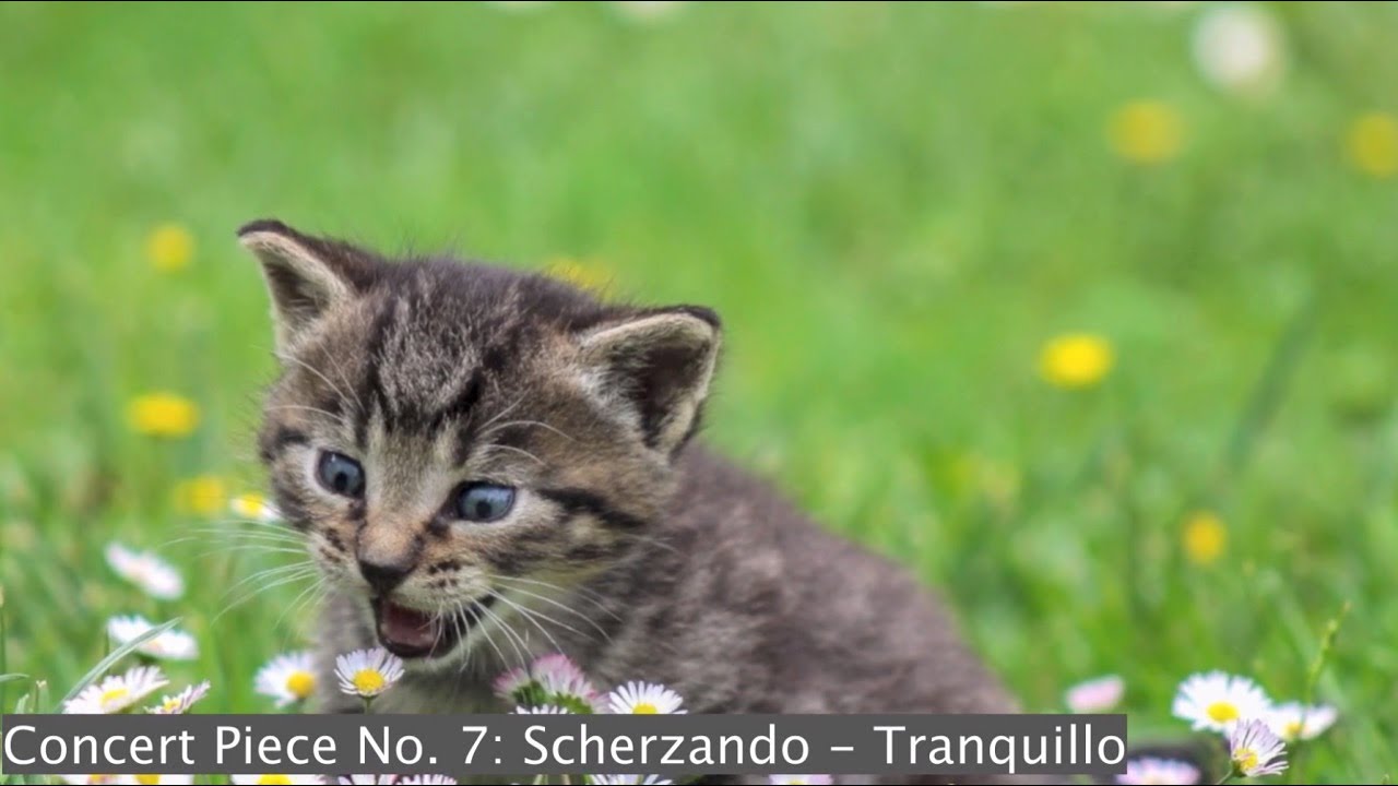 Concert Piece #7 "Scherzando - Tranquillo"