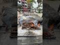 Nothing Beats Goat Roasting at Hotel Coral & Marina Ensenada! 🔥🌮