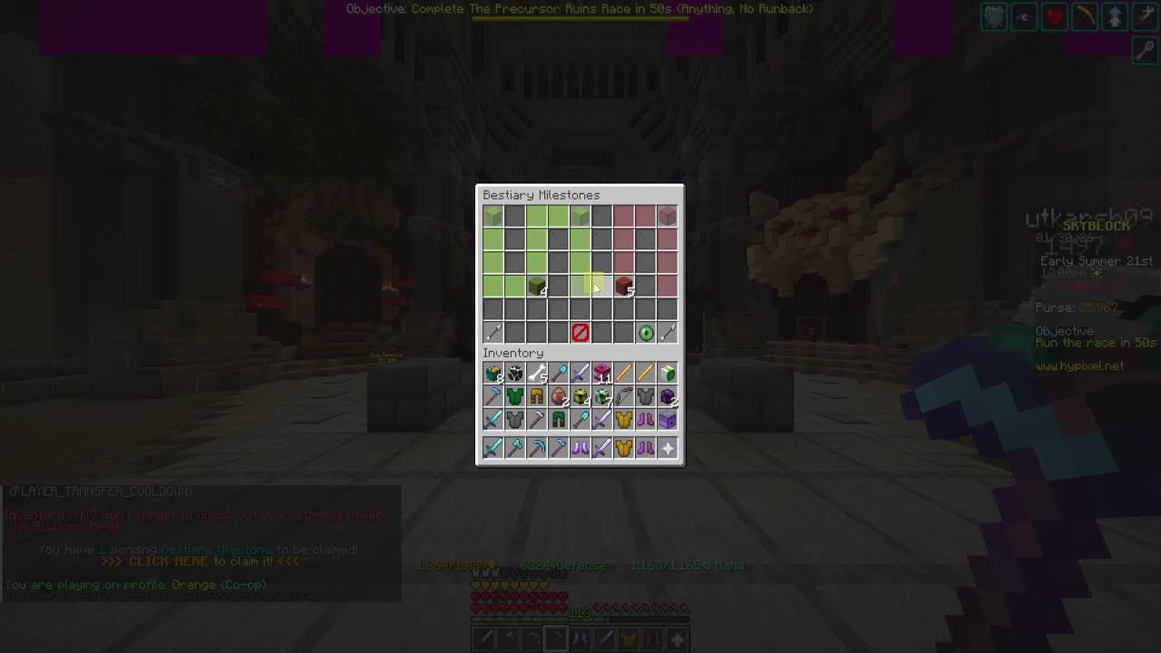 Let's dungeon on Hypixel Skyblock