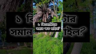 ১ কিলোমিটার সমান কত মাইল? #shorts