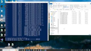 MS-DIAL: Preparing directories and sorting data with BAT files for an in-house spectral library