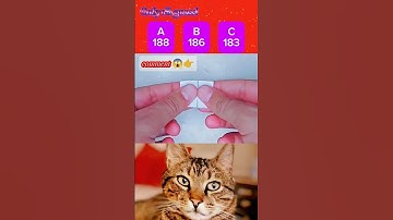 1% Genius Challenge – Can You Guess Correctly? 🧠💥 #shortsfeed #challenge #cat #trending #viral