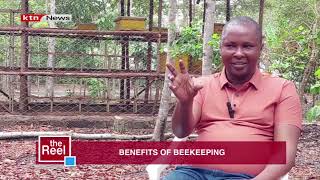 Benefits of Beekeeping | The Reel