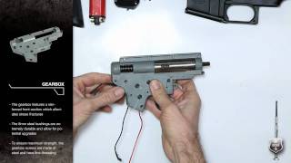Echo1Usa Platinum M4 Video - Internals