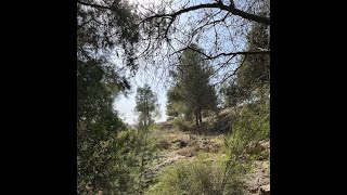 הרב יוחאי ליקוטי מוהרן האיזון הנכון בין מוח לב ריאה 12 11 18