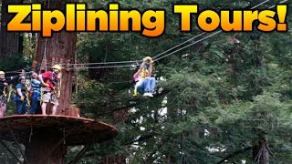 Ziplining at Redwood Canopy Tours - Santa Cruz!