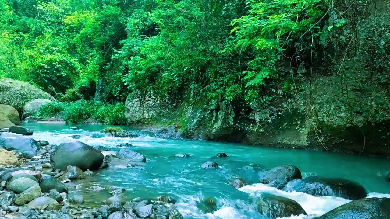 i '''''''Healing Nature Ambience, Beautiful Stream Through Green Forest, and Flowing Water