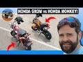 2020 Honda Grom and Honda Monkey Review の動画、YouTube動画。