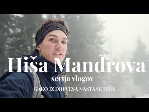 Video: Kako visoka zrastejo Judova drevesa?