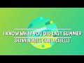 I KNOW WHAT YOU DID LAST SUMMER BY SHAWN MENDES,  CAMELA CABELLO LYRICS