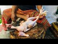 Amazing Full Chicken Cutting - Fastest Chicken Cutting Skills || Meat Cutting Video ||