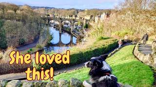 3 Nights, 2 Locations, 1 Dog - Our Yorkshire Adventure
Hello and welcome to our first proper Camping Adventure video of 2026, we actually filmed this one in January and its 2 locations in 1 video - just like buses you wait for ages and then 2 come along together! Anyone, its nice to be back and out in the van again.
Join us as we take you behind the scenes when we filmed our latest new 2026 campervan review for the nice people at Auto-Trail at a beautiful CL in Lincolnshire called Hunger Hill which we had all to ourselves on a very rainy and cold Thursday in January.
Then, we head to what is possibly the nicest town in England, Knaresborough in Yorkshire. Its an absolute gem and we cant believe we havent been there before. A fantastic campsite, beautiful walks along a river path into the town and some of the friendliest people weve ever met. Not to mention some of the best beer too with plenty of choice for pub lovers.
Thanks so much for watching, we love reading your comments and it gives us inspiration to create new content, please feel free to drop us a comment and let us know what you think of Hunger Hill CL and the fabulous Knaresborough.
Chapters :
00:00 - Introduction
01:50 - Arriving at Hunger Hill CL
06:48 - Exploring Hunger Hill CL
12:27 - Arriving at Knaresborough Caravan & Motorhome Club Site
17:13 - Exploring Knaresborough
20:00 - Knaresborough viaduct
21:35 - Sampling the local beer
24:29 - Knaresborough Castle
28:21 - Summary of Knaresborough
Our camera kit for anyone interested:
Sony a7C
Sony ZV-1
Sony Xperia 5 v
Insta360 One X2
DJI Ronin SC
DJI Osmo 6
DJI Osmo Pocket 3
DJI Mic 3
#knaresborough #yorkshire #lincolnshire #camping #vantasticadventures #autotrail #fiatcampervan #autotrailadventure65 #bordercollie #sheepdog #molliethecollie #vanlife #motorhome #campervan #campingcar 3 Nights, 2 Locations, 1 Dog - Our Yorkshire Adventure