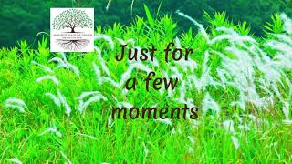 1 minute Mindful Pause