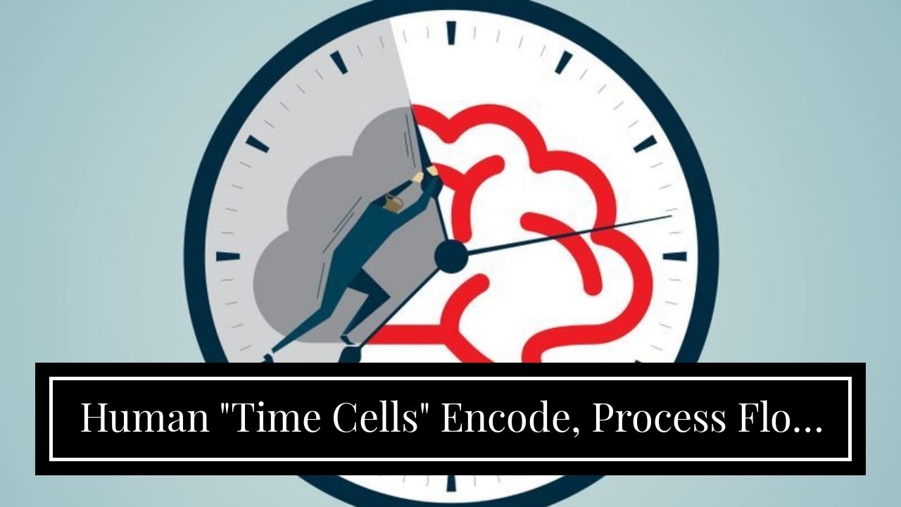 Human "Time Cells" Encode, Process Flow of Time - YouTube