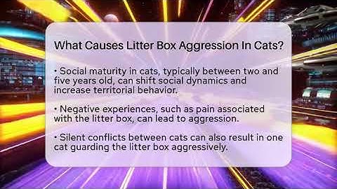 What Causes Litter Box Aggression In Cats? - Happy Cat Handbook