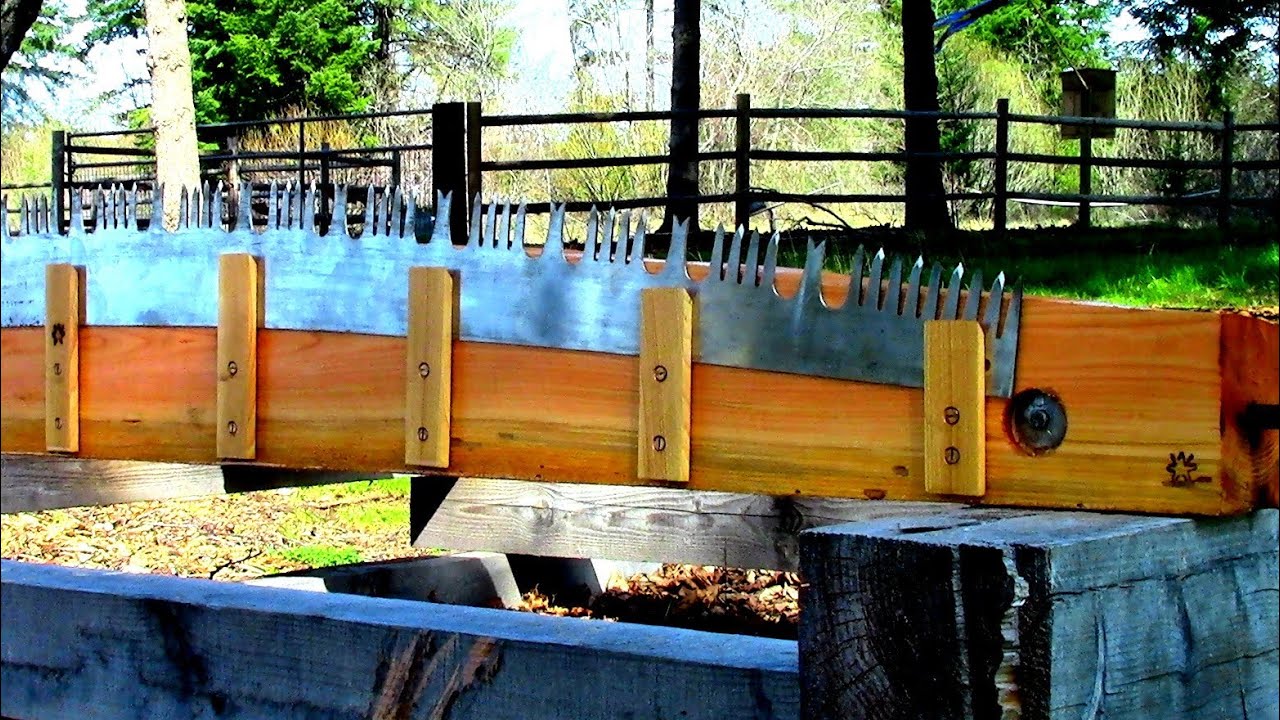 Crosscut Saw Vise 3.0 Wranglerstar YouTube