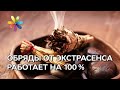 Медовый Спас и Яблочный Спас. Действенные обряды от экстрасенса Алены Куриловой – Все буде добре