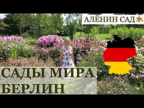 Сады Картинки Фото