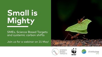 Small is Mighty  -  SMEs and Science Based targets