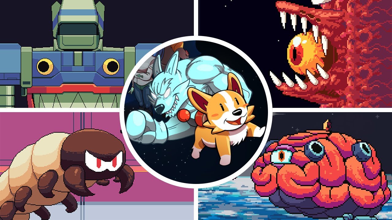 ProtoCorgi - All Bosses & Ending